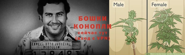 ГАЛЛЮЦИНОГЕННЫЕ ГРИБЫ Фурманов