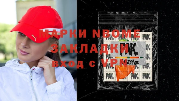 шишки Каменка