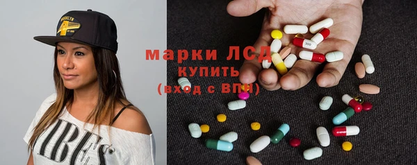 шишки Каменка
