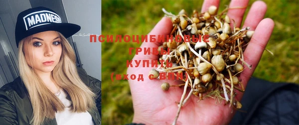 mix Карпинск