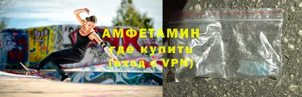 шишки Каменка