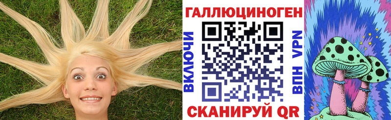 Псилоцибиновые грибы Magic Shrooms  Цоци-Юрт 